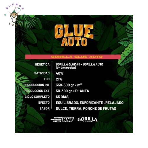 BSF Seeds Auto Gorila Glue