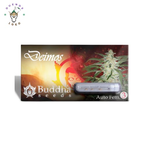 Buddha Seeds Auto Deimos