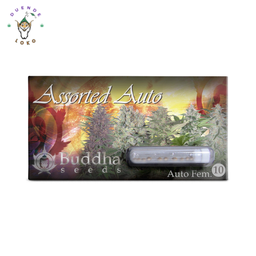 Buddha Seeds Auto Assorted