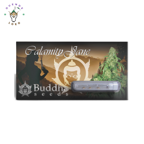 Buddha Seeds Auto Calamity Jane