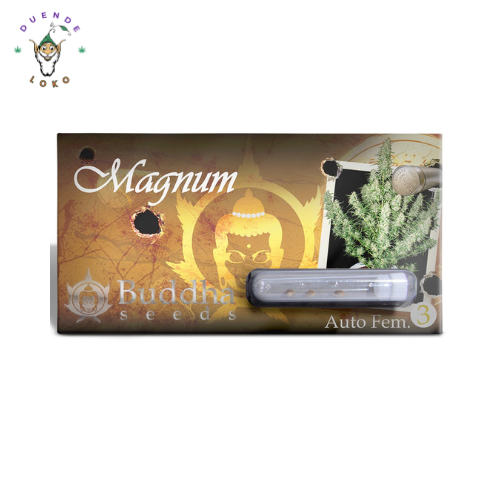 Buddha Seeds Auto Magnum