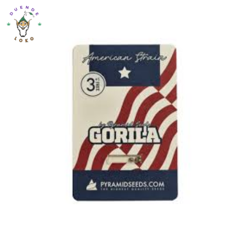 Pyramid Seeds Fem Gorila