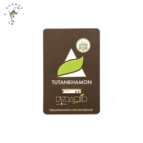 Pyramid Seeds Fem Tutankhamon