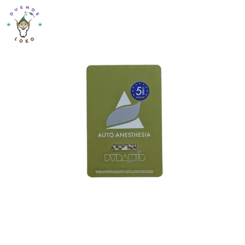 Pyramid Seeds Auto Anesthesia