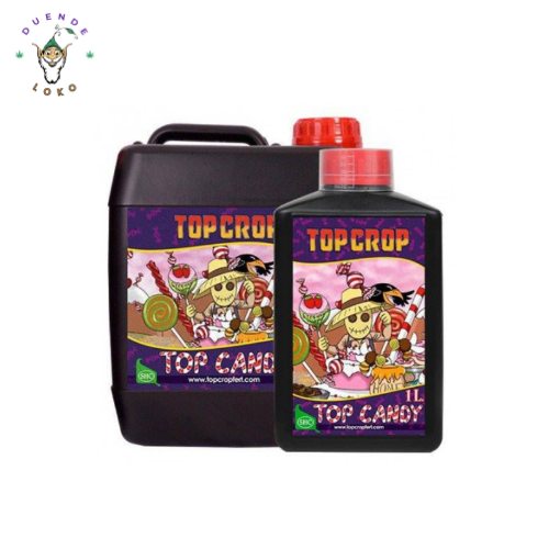 Top Crop Top Candy